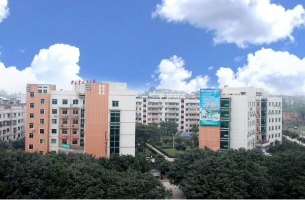 内江计划生育服务中心购买微量元素检测仪