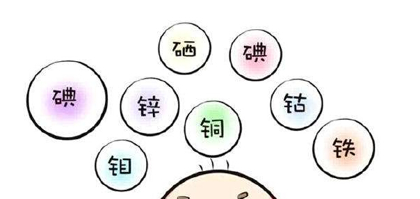 微量元素分析仪作为人体必需的微量元素必需满足以下条件 微量元素分析仪作为人体必需的微量元素必需满足以下条件