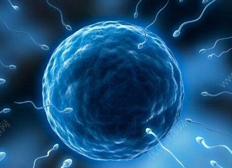 人体微量元素检测仪分析精子中的主要微量元素 经常的锻炼身体,能够提高精子的质量