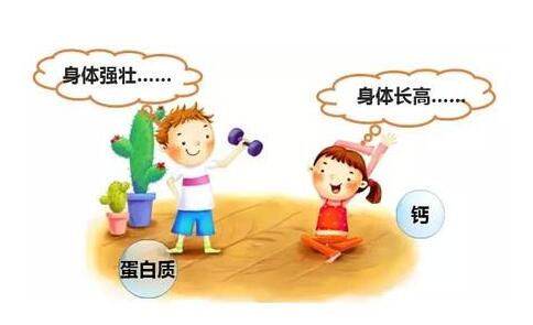 儿童微量元素分析仪儿童成长发育必需的九种营养 儿童微量元素分析仪儿童成长发育必需的九种营养