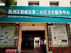 微量元素测定仪走进新洲区卫生服务中心检测设备通过血液和毛发检