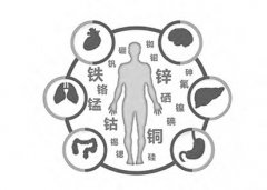 微量元素分析仪教您玩转微量元素,秒变男神女神,微不足道不存在的