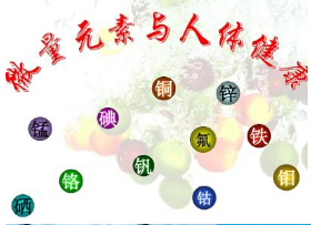 微量元素分析仪物极必反滥补微量与人体组织的构成和生命正常“运转” 微量元素分析仪物极必反滥补微量与人体组织的构成和生命正常“运转”
