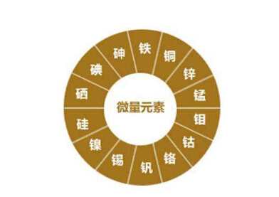 微量元素分析仪浅析人体微量元素检查所有注意事项阅读人数999+ 微量元素分析仪浅析人体微量元素检查所有注意事项阅读人数999+