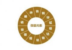 全自动微量元素分析仪专家提示食补日常的生活饮食中应注意微量元