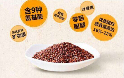 钙铁锌硒检测仪分享藜麦做辅食钙铁锌硒全都有了 钙铁锌硒检测仪分享藜麦做辅食钙铁锌硒全都有了