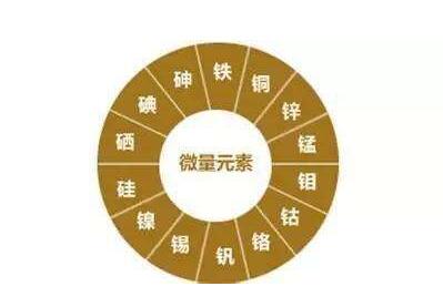 人体微量元素分析仪都说“眼睛是心灵的窗户”补充微量让眼睛更明亮 人体微量元素分析仪都说“眼睛是心灵的窗户”补充微量让眼睛更明亮