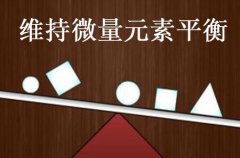 人体微量元素检测仪能够维持人体微量元素的平衡促进新陈代谢