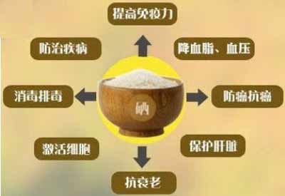 GK全自动微量元素分析仪有哪些品牌警惕身体缺少这种微量元素多种疾病找上你 GK全自动微量元素分析仪