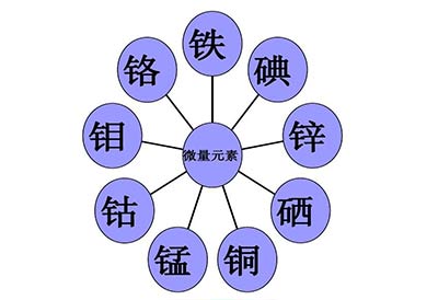 医用微量元素测试仪哪个好GK品牌介绍怎么才能知道宝宝是否缺少微量元素