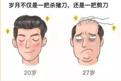 当代年轻人的噩梦微量元素分析仪厂家排行掉头发是缺少哪些微量元素