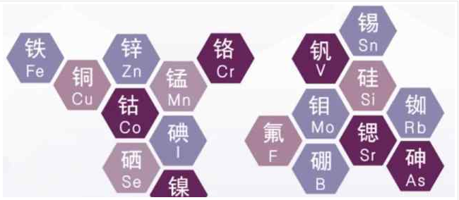 医用微量元素分析仪 全自动医用微量元素分析仪厂家