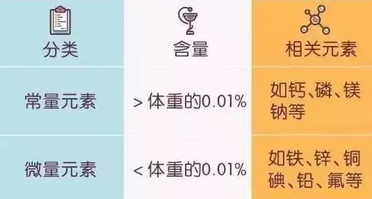 全自动儿童微量元素测定仪生产厂家