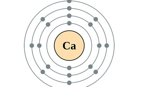 电化学微量元素分析仪钙在人体中的作用有哪些
