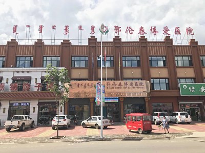 国康微量元素检测仪大品牌走进大杨树镇鄂伦春博爱医院,毛发微量元素设备 国康微量元素检测仪大品牌走进大杨树镇鄂伦春博爱医院,毛发微量元素设备