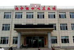 微量元素分析仪被阜新蒙古族自治县泡子镇中心卫生院采购