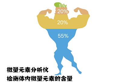 微量元素分析仪用于检测儿童体内微量元素从中获取足够营养元素