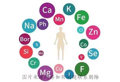 微量元素分析仪品牌推荐人体在摄取中食物中微量元素其中它的作用是什么？