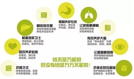 钙铁锌硒检测仪品牌 【5.28咨询】钙铁锌硒检测仪品牌揭秘元素硒对人体健康的重要性
